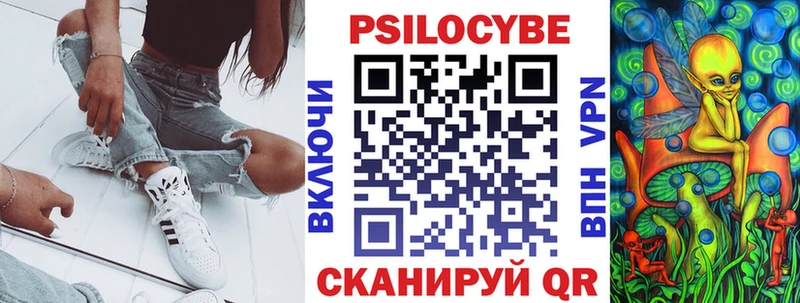 цены   Сланцы  Псилоцибиновые грибы GOLDEN TEACHER 